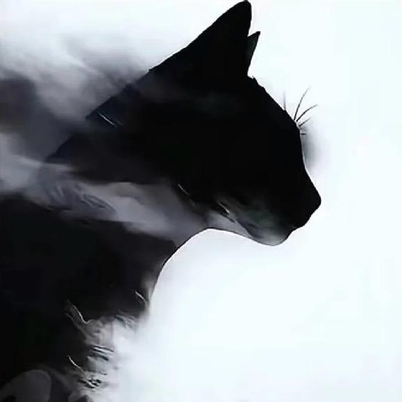 黑喵警长⚡️🐈‍⬛