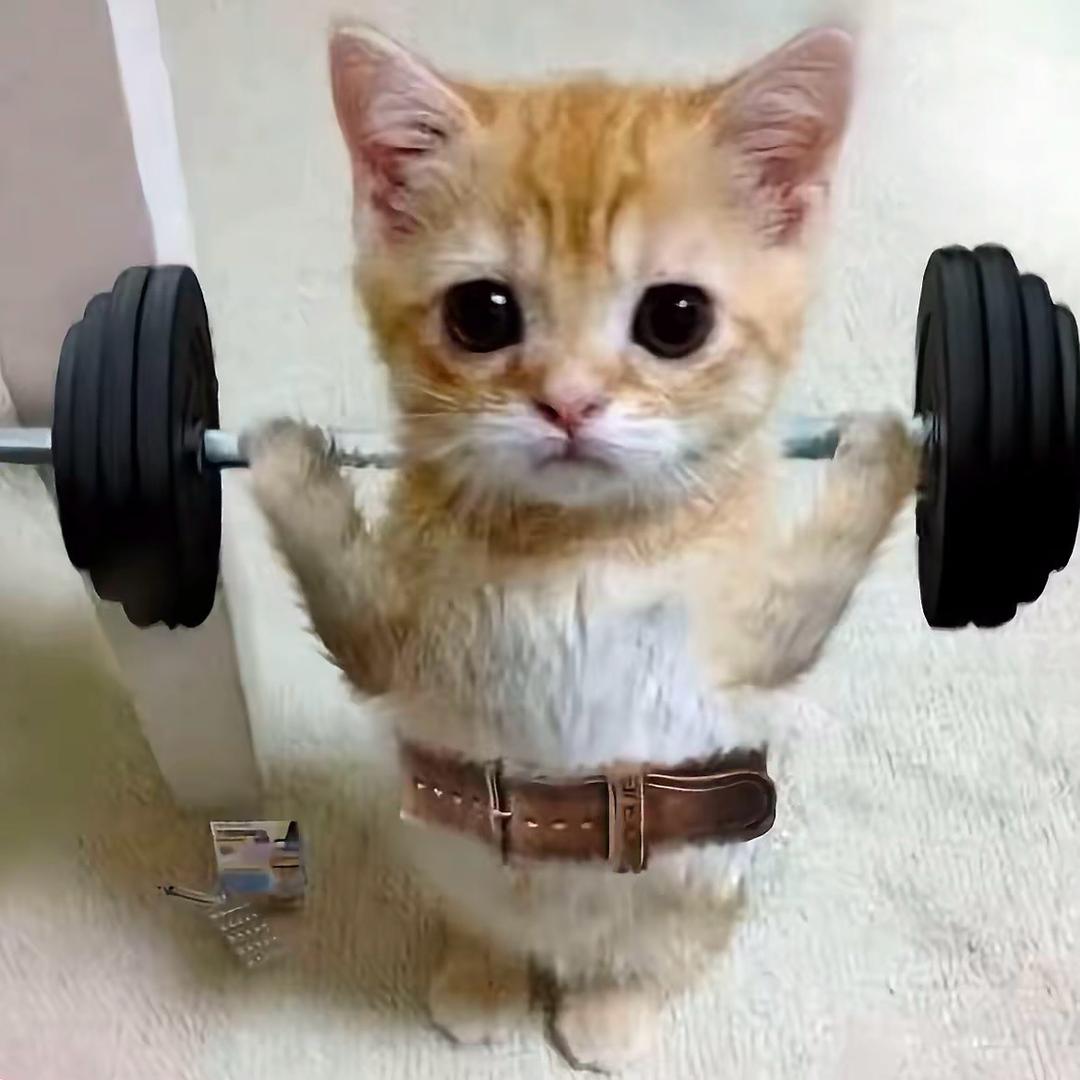 超级无敌美少女壮士