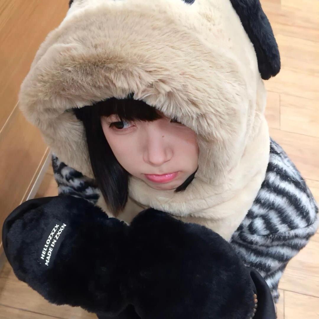 猫猫鱼