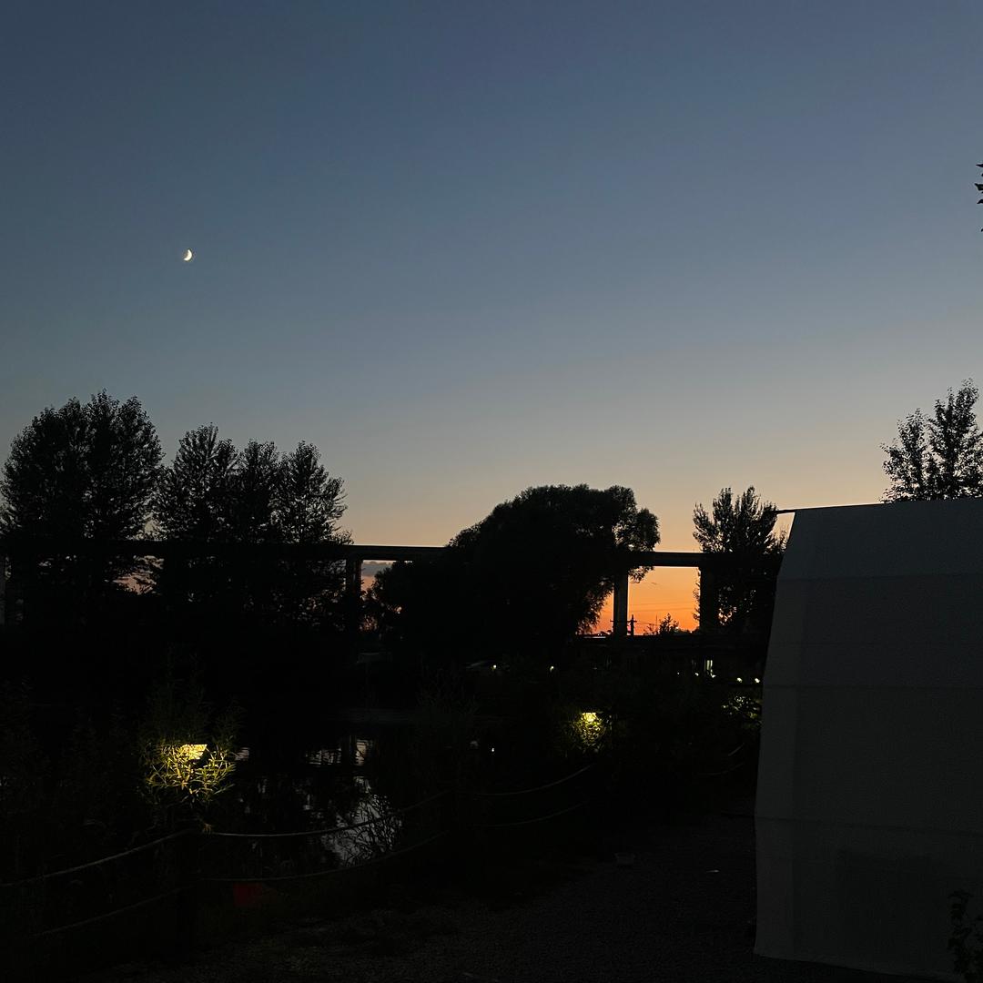 🍃爱美食的钓鱼佬🍃