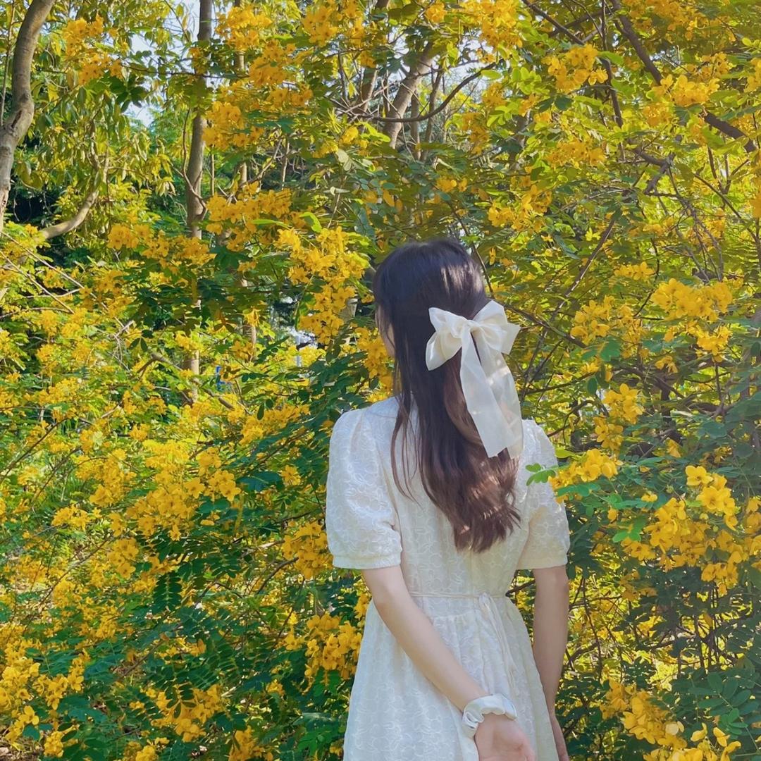 遇建花开💞