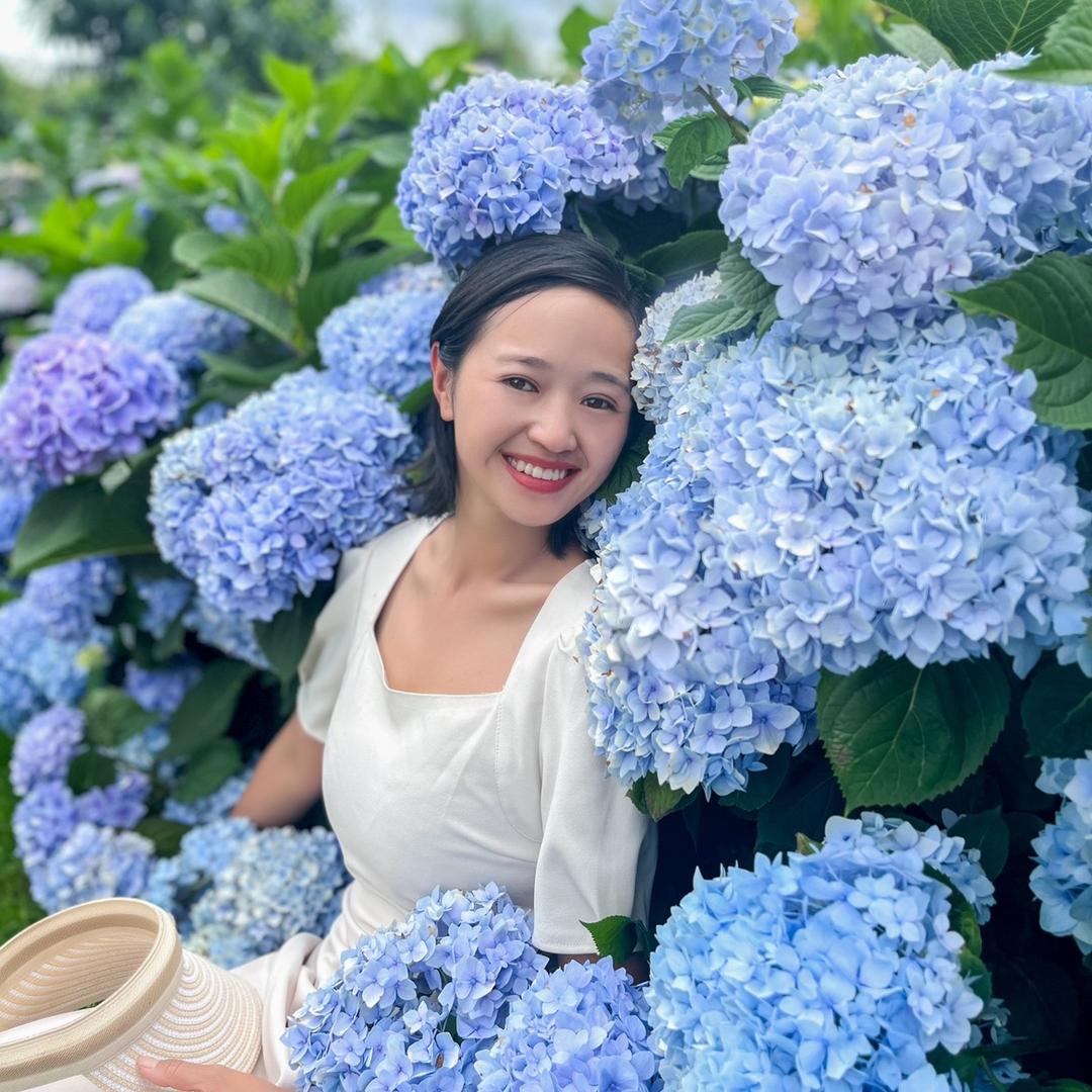 云南拾花人