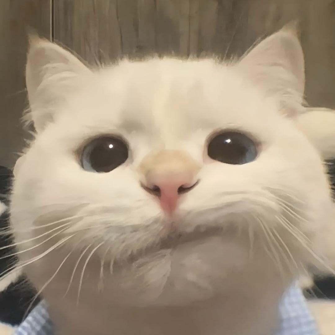 、