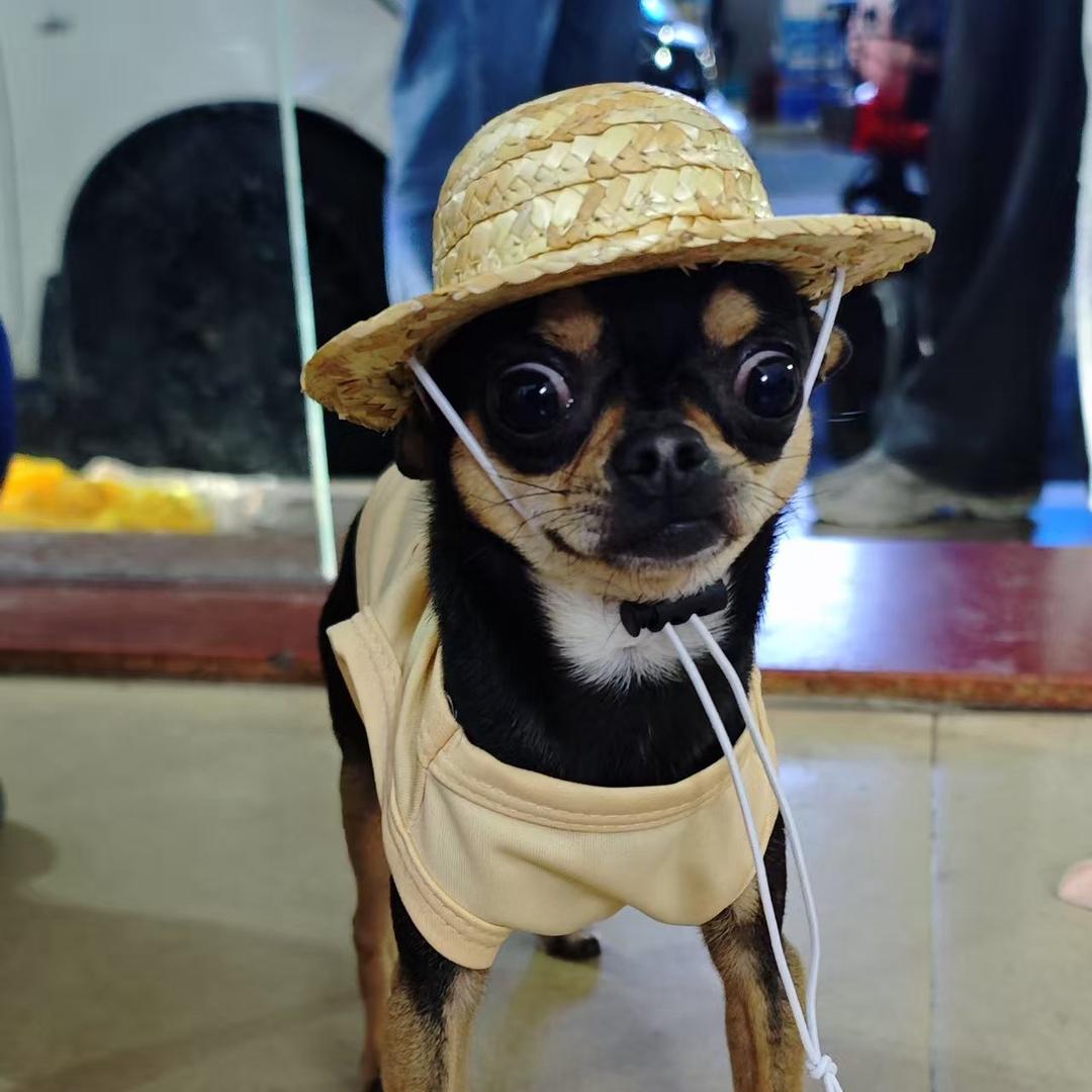 优酷人