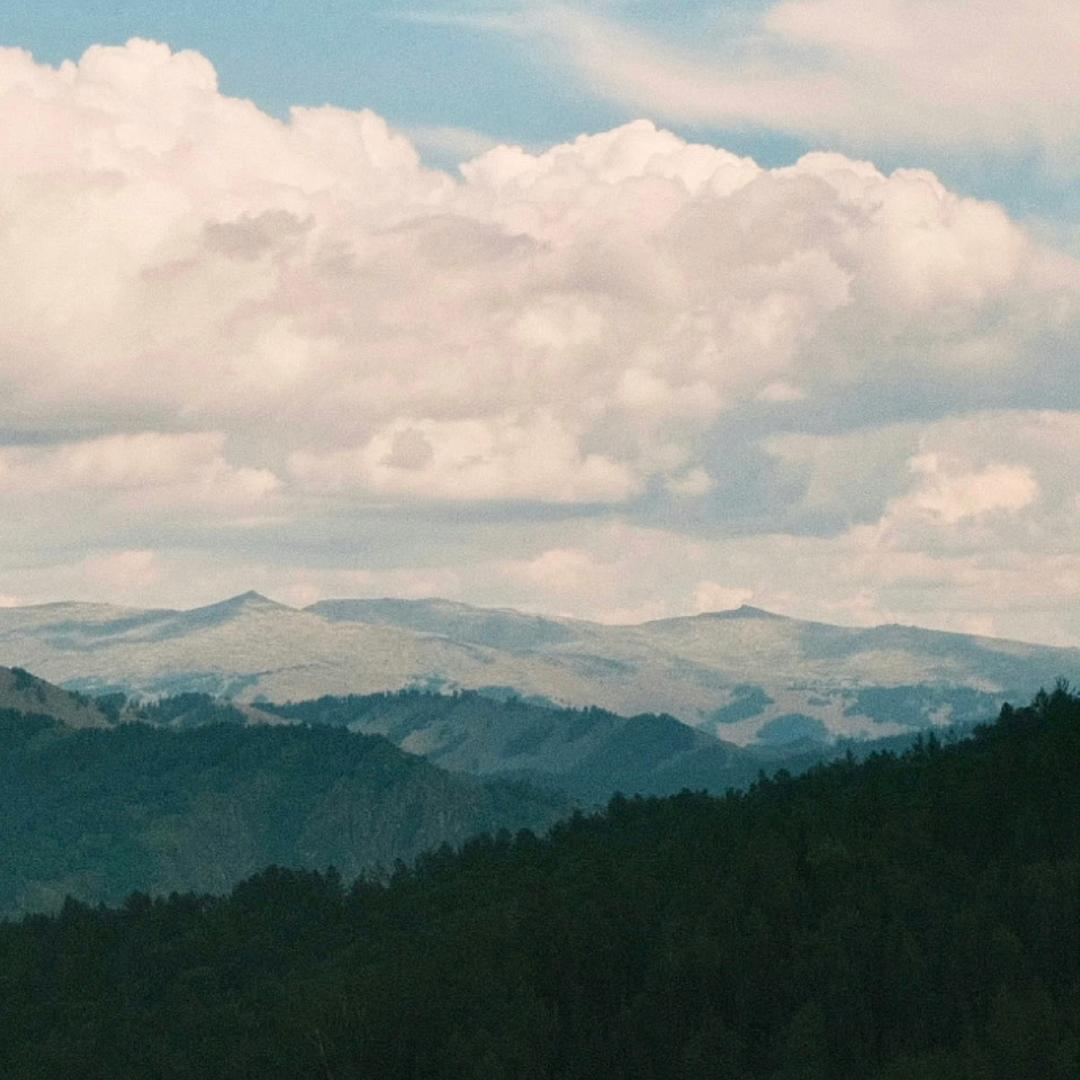 一条鱼尾（太原约拍📷）