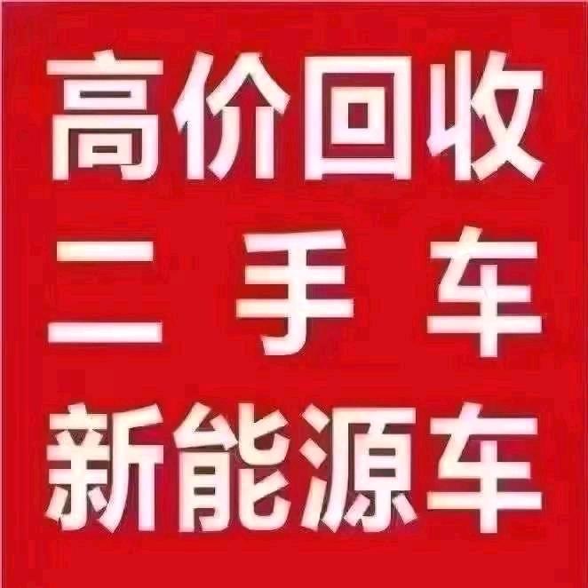上海跃跃迈新能源汽车销售有限公司