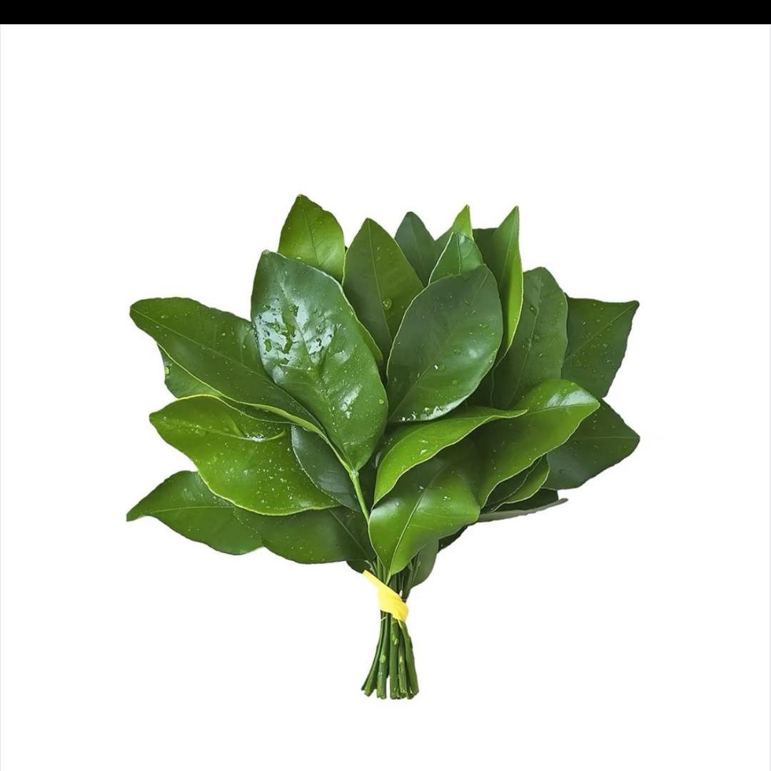 七七
