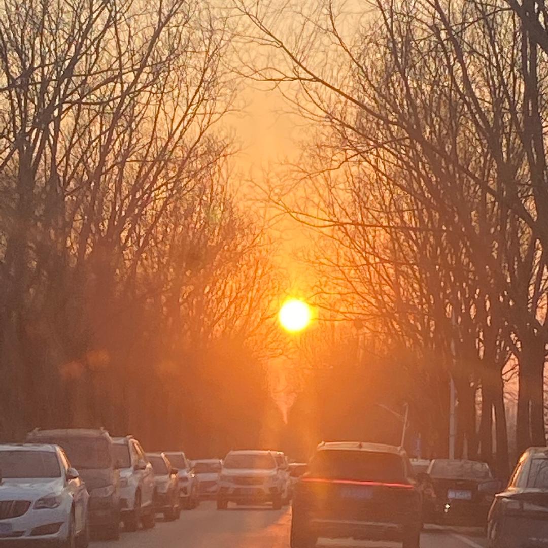 多宝