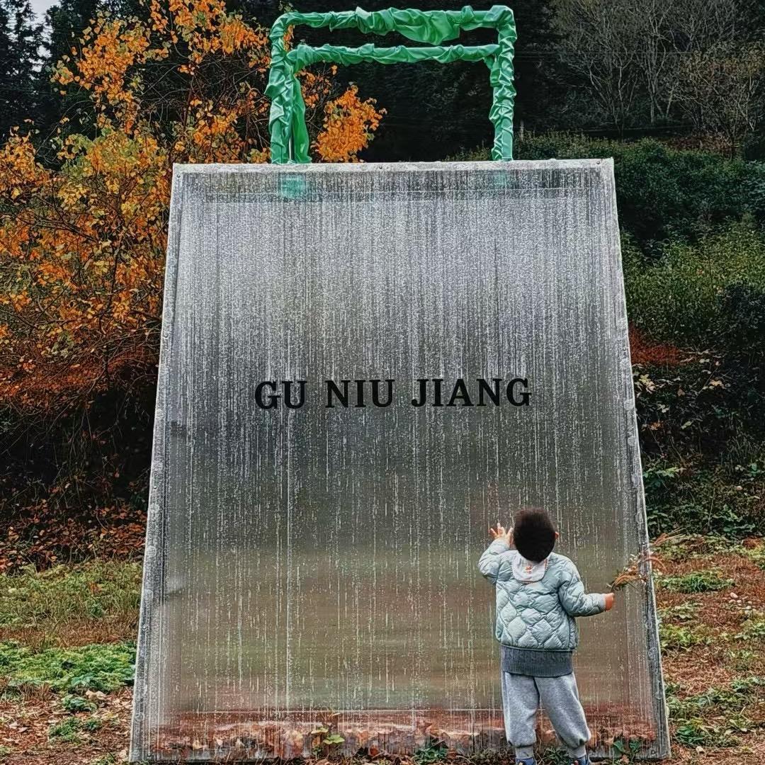 槑槑