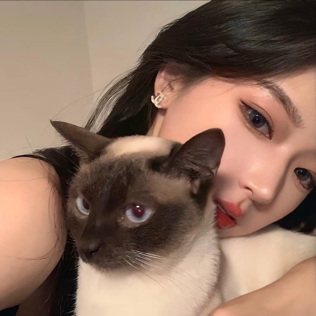 是鹅鹅耶