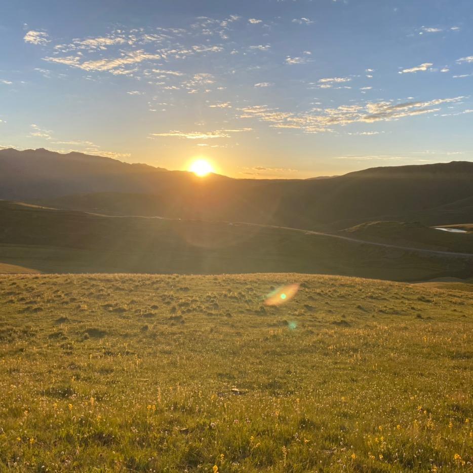 草原背后的温暖阳光☀️
