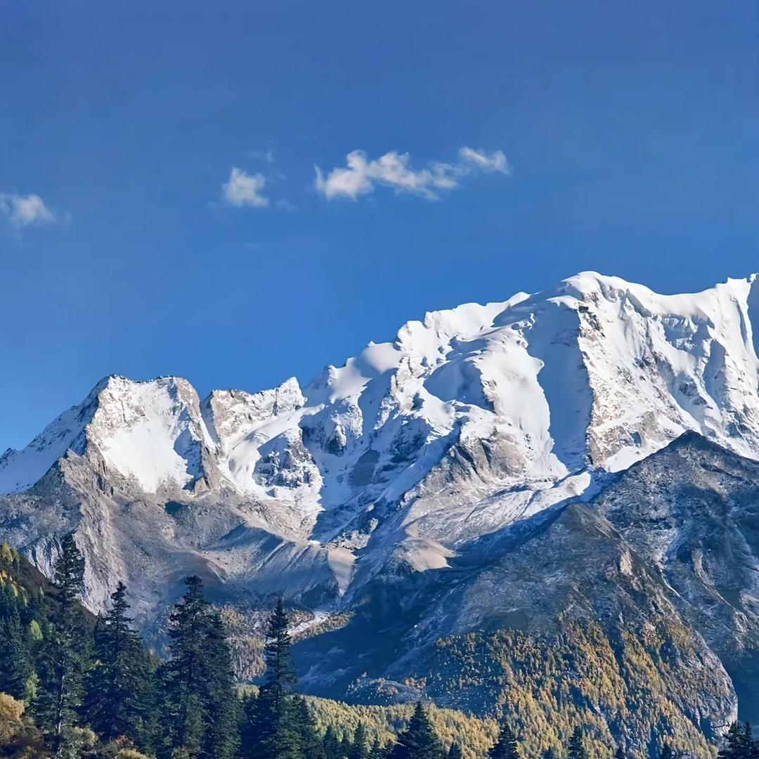 大强说车-贝耶斯