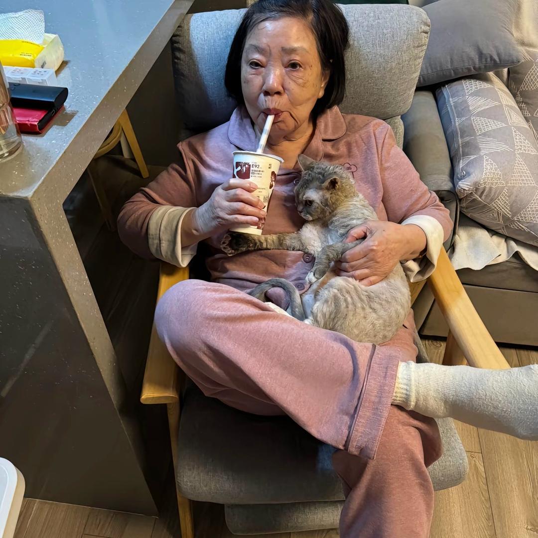 九营十八组狗尾巴花