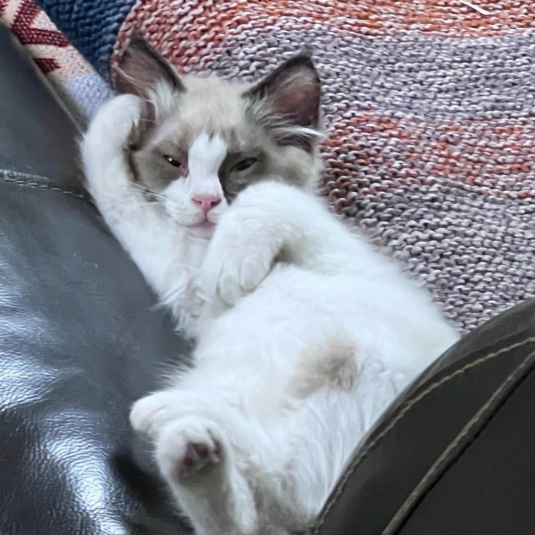 DingDing