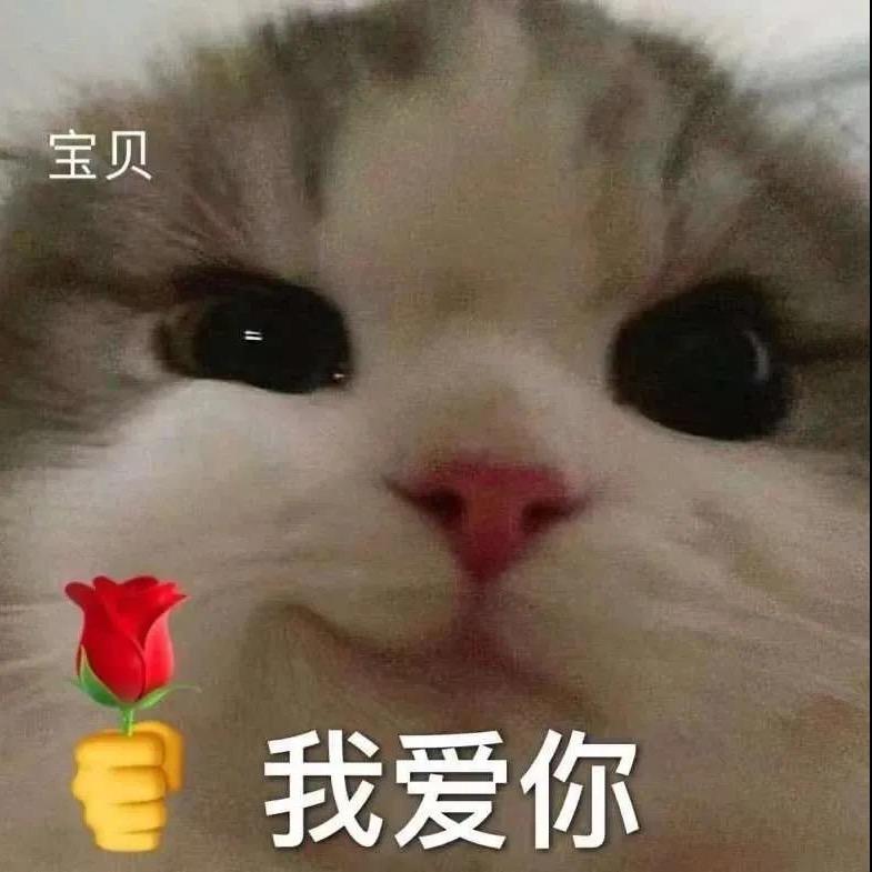 岩希宠物