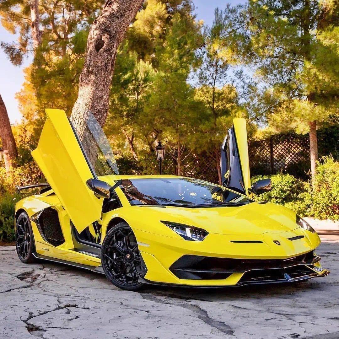 小杨爱拍车