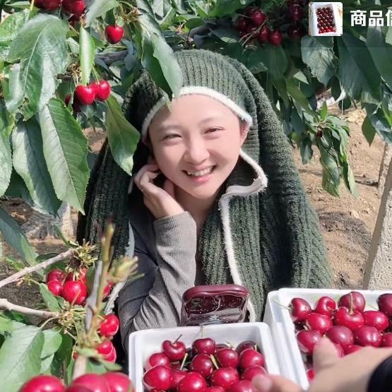 圆联农场小玲子果园