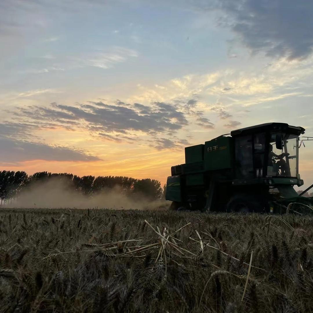 我是你张家二哥，你心里没我，一样冻死你！