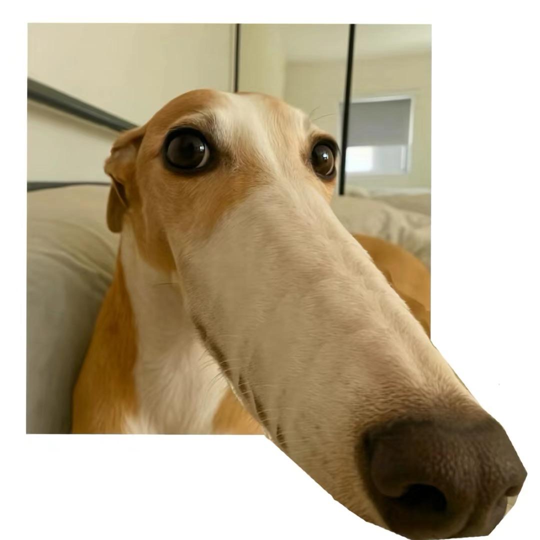 Ruu