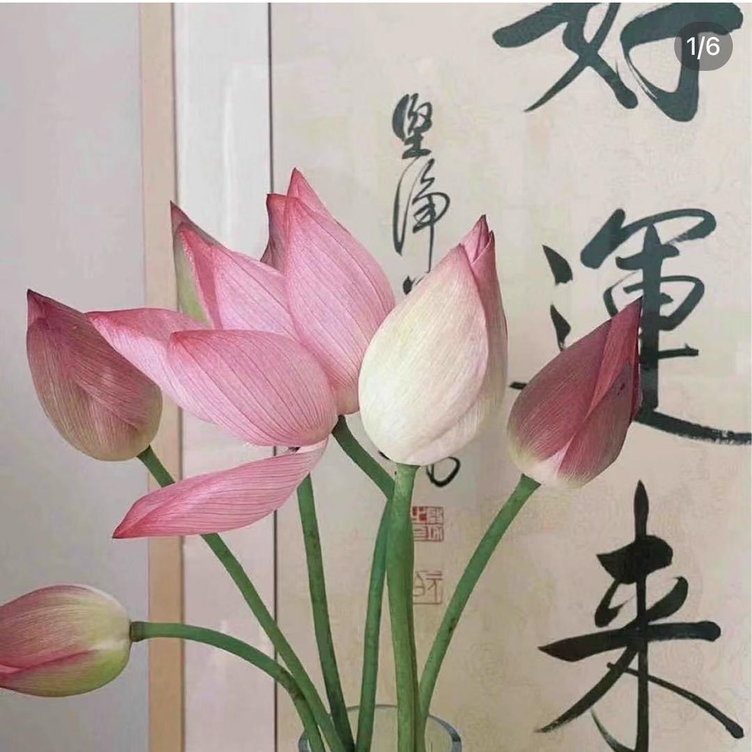 包包妈分享