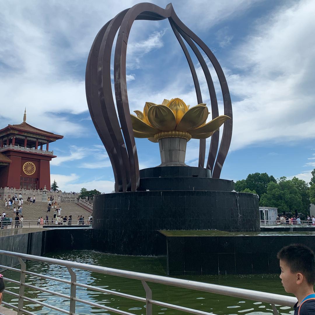 上上签🍎