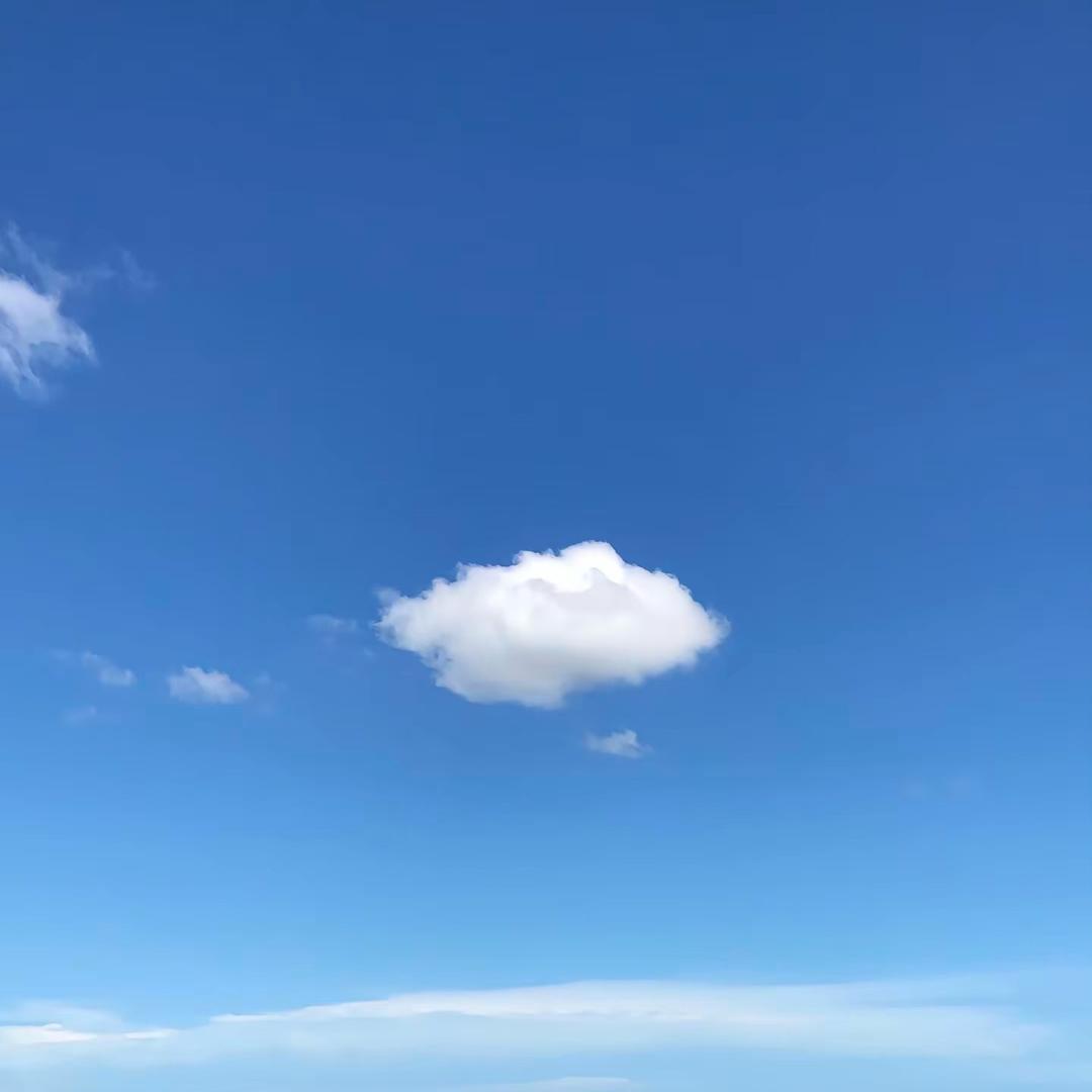 向云端