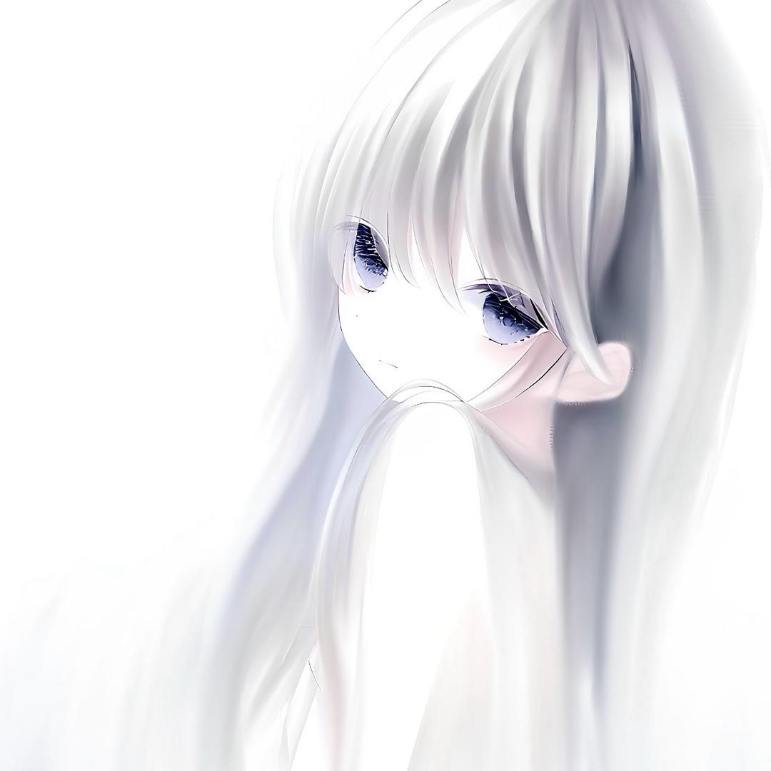海苔ovo