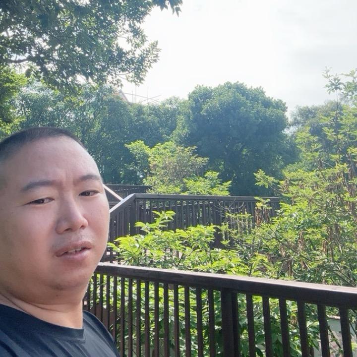 我主沉浮