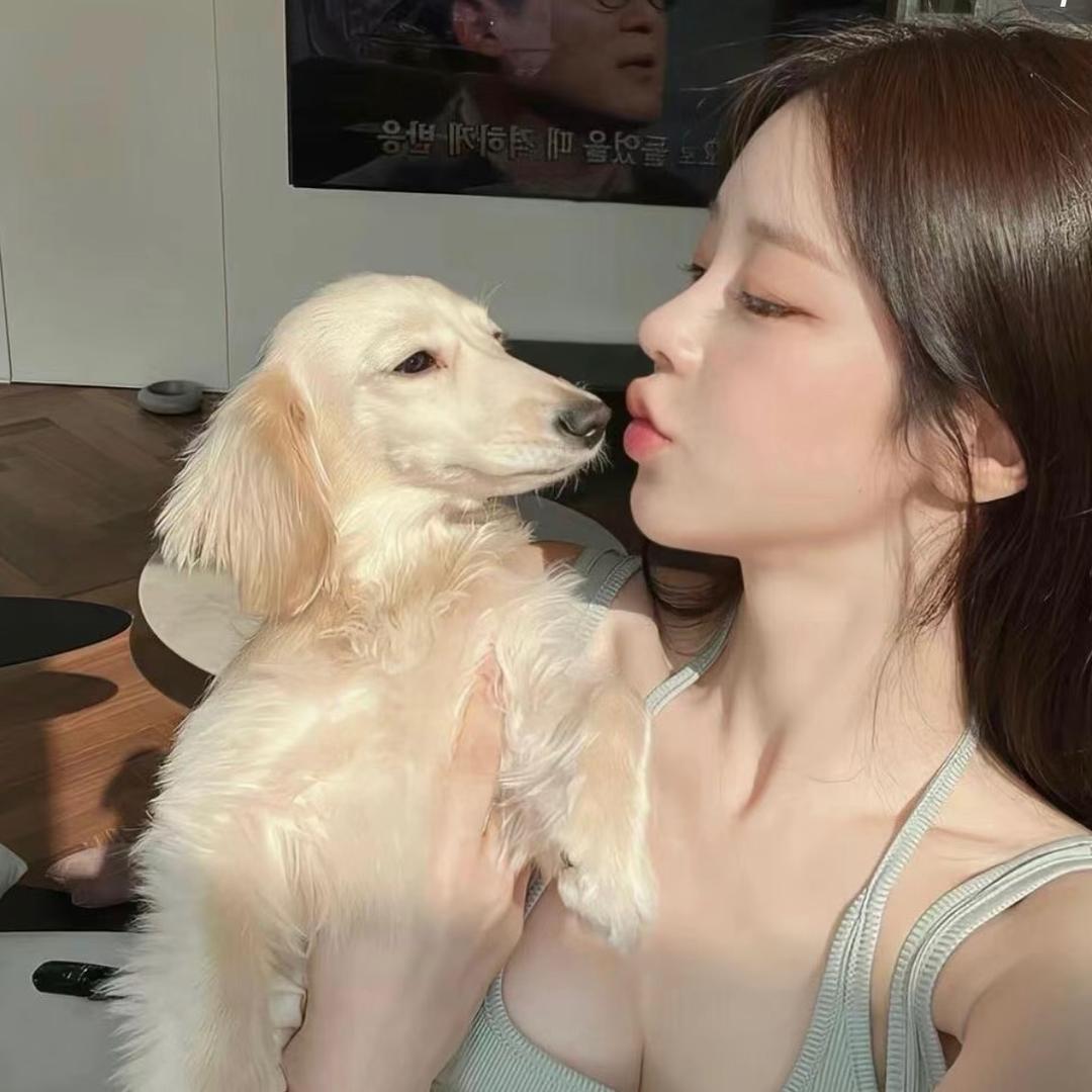 好赵头