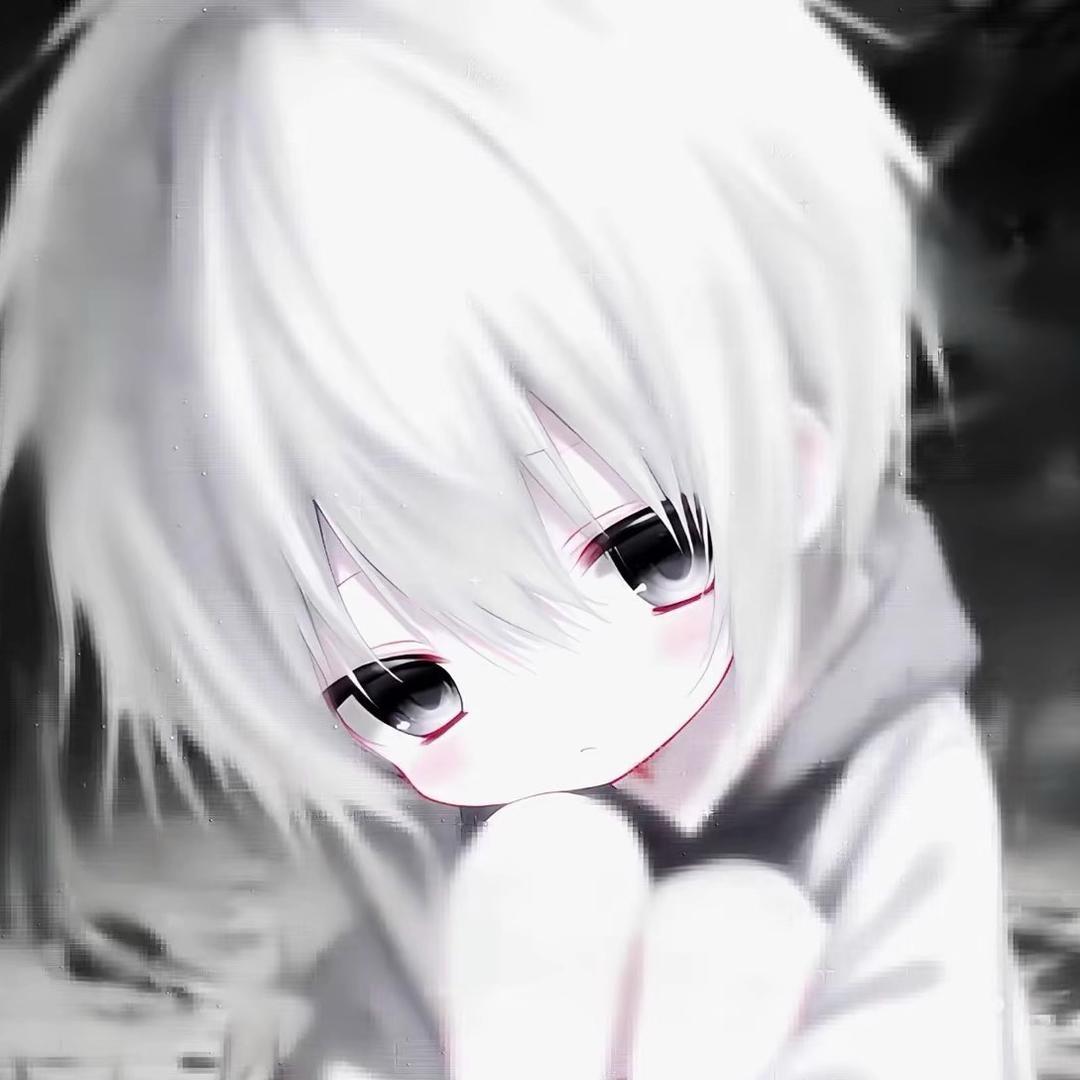 晨66