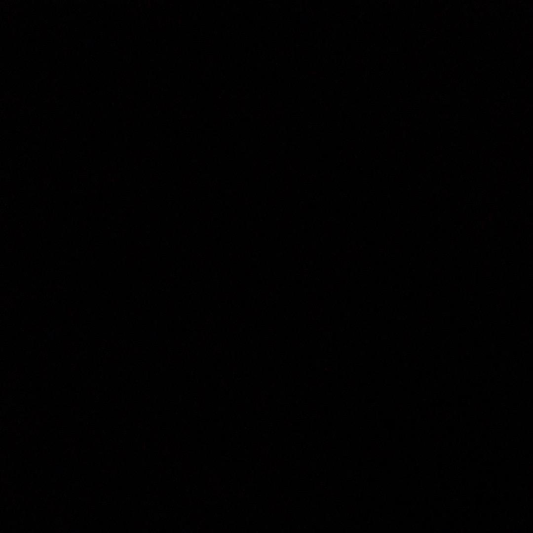 白日梦想家