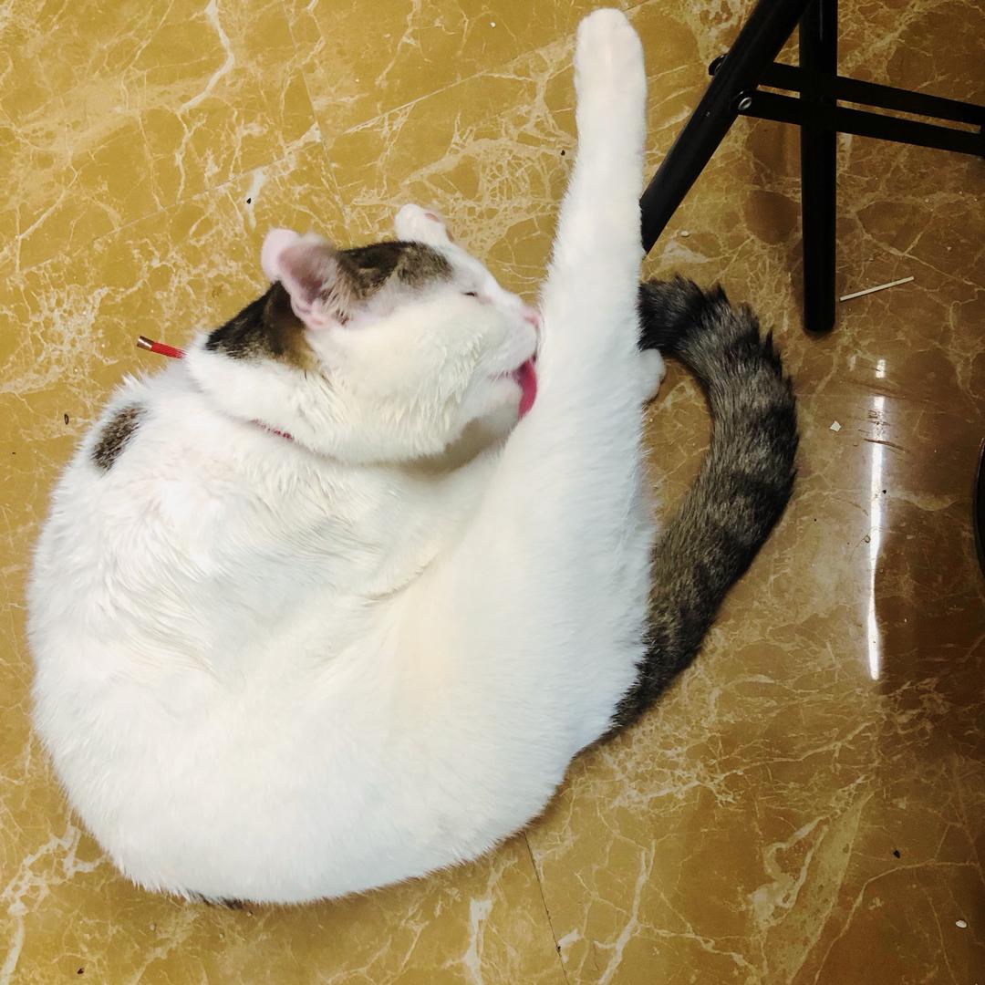 🍀🌙淡然🌕🍀