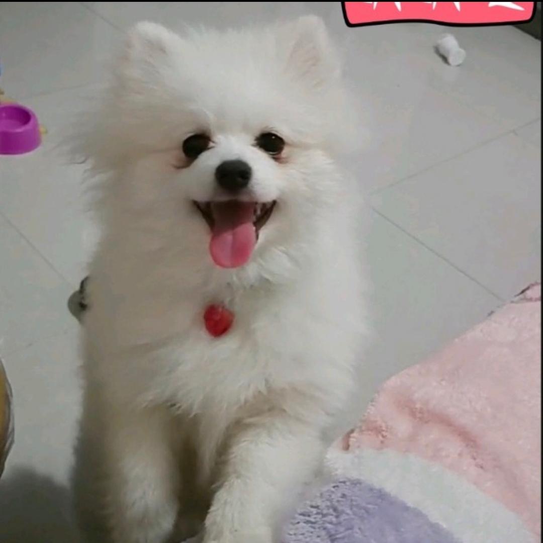 秀◕‿◕丫頭