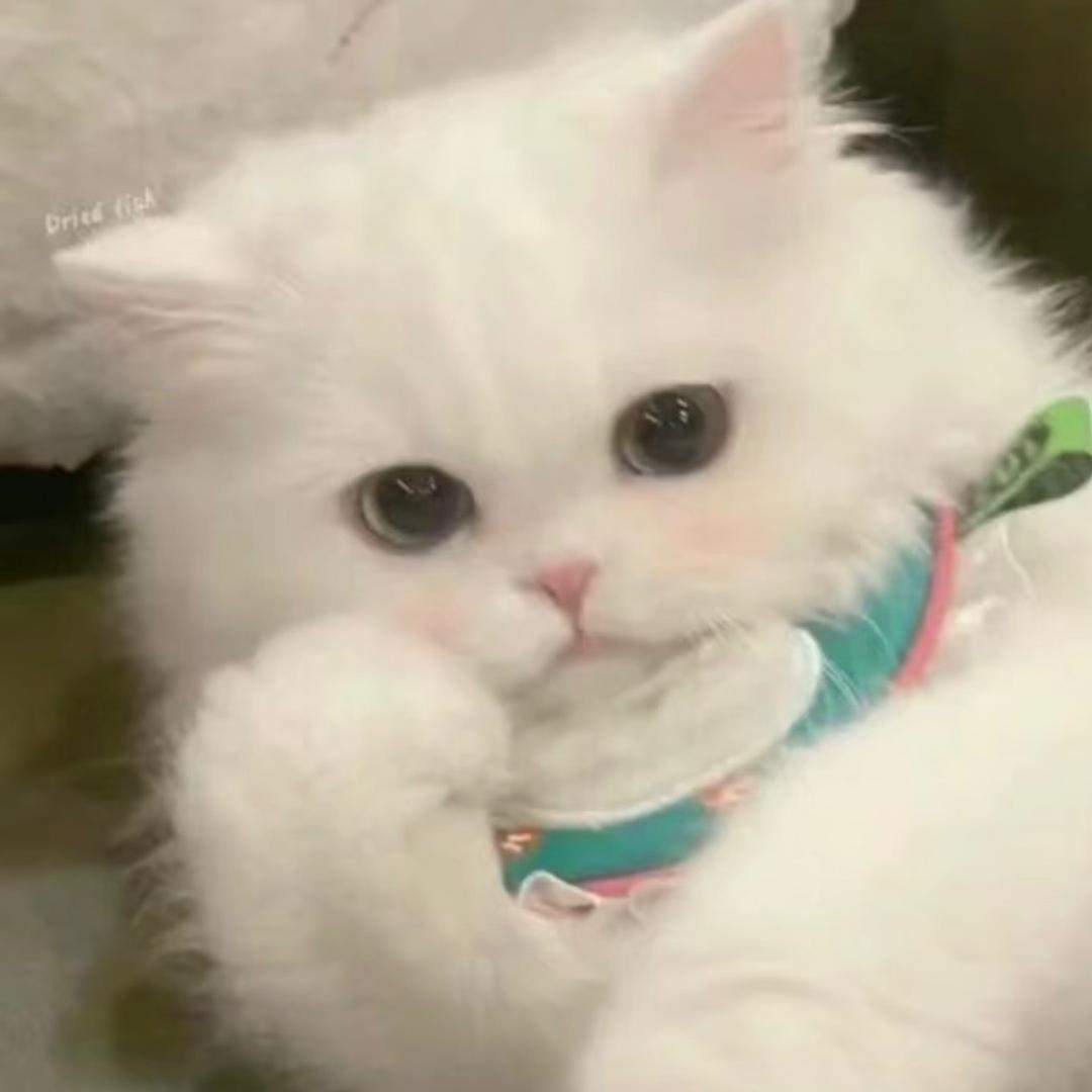 没事吧你