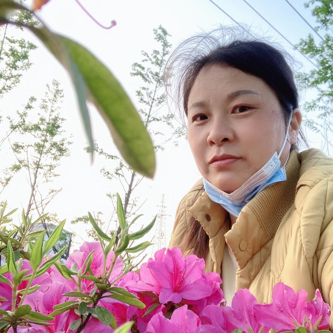 龙飞姐