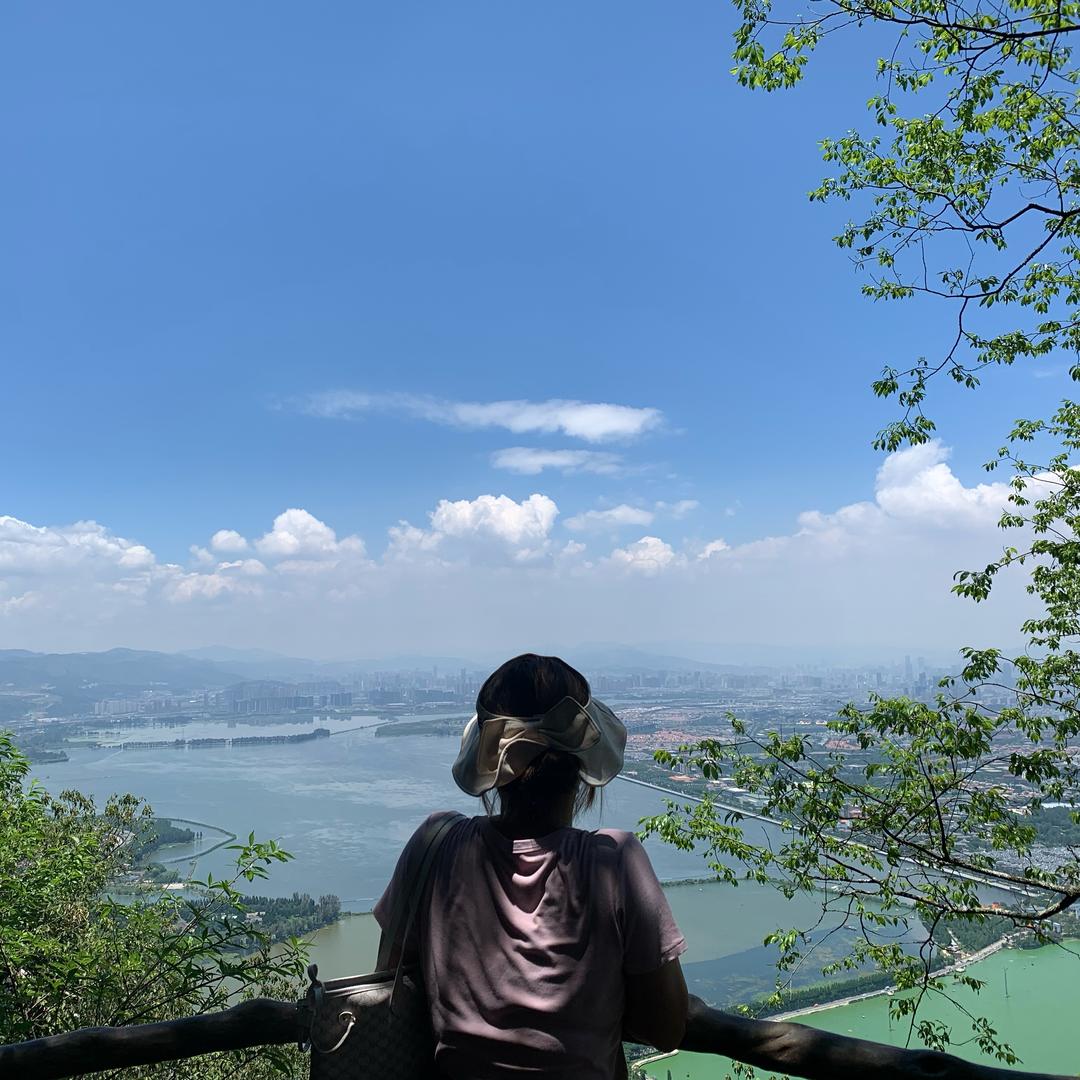 风不吹了