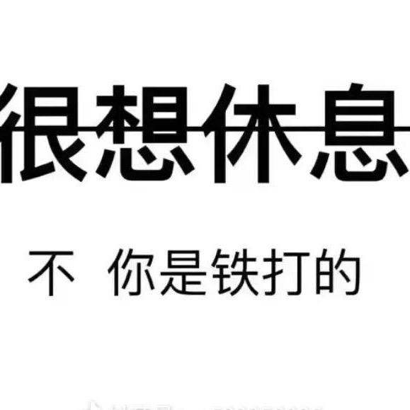 咕咕bird