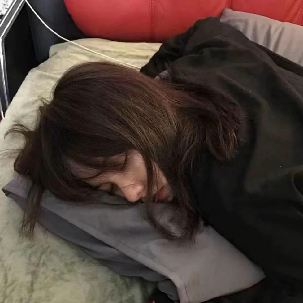 会飞的鱼