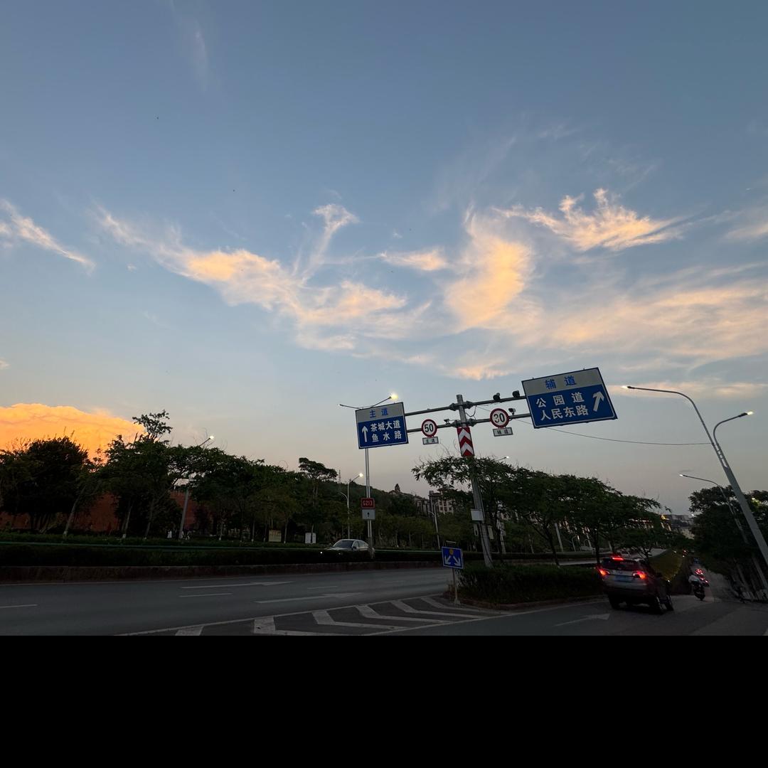 啊杨杨