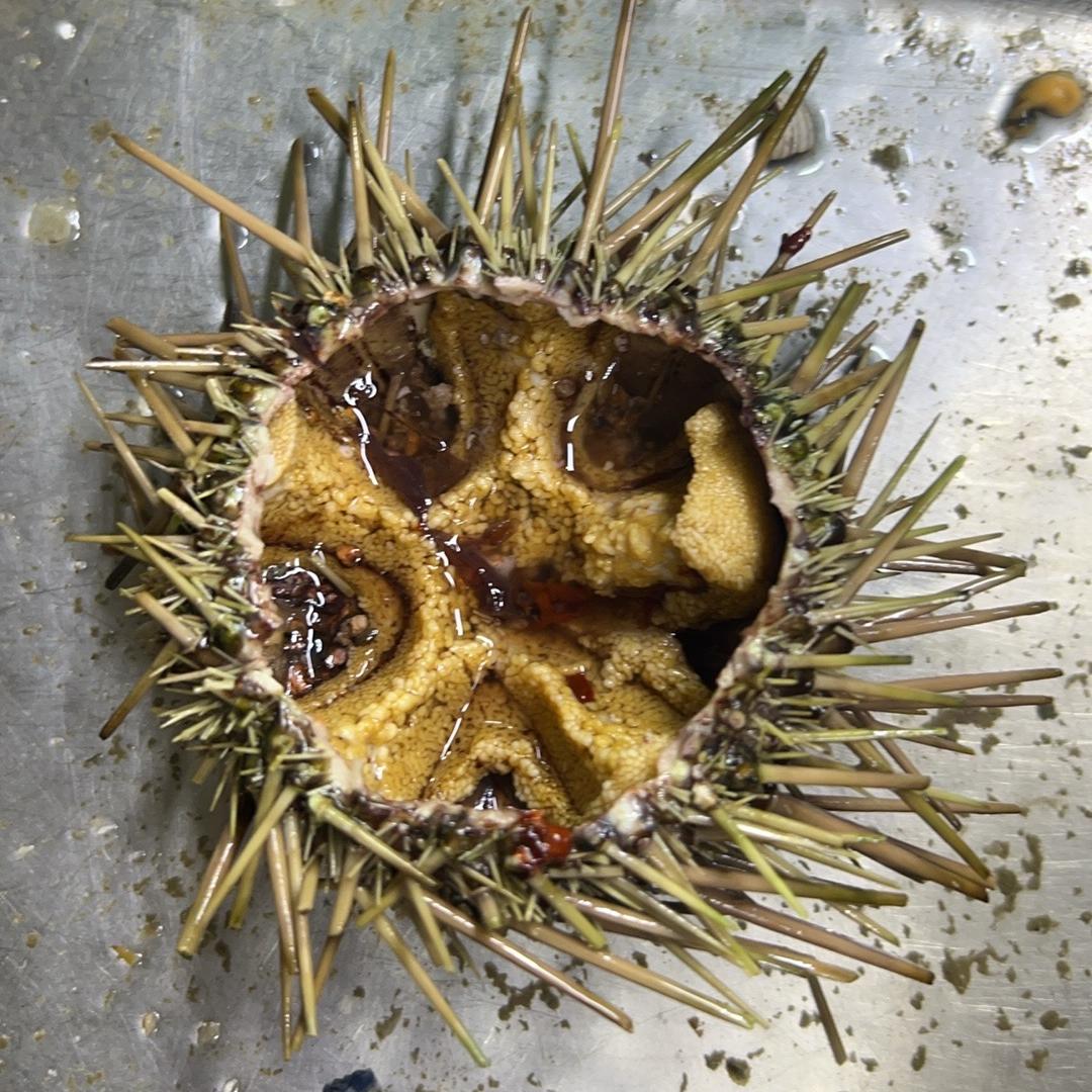 兴荣海鲜