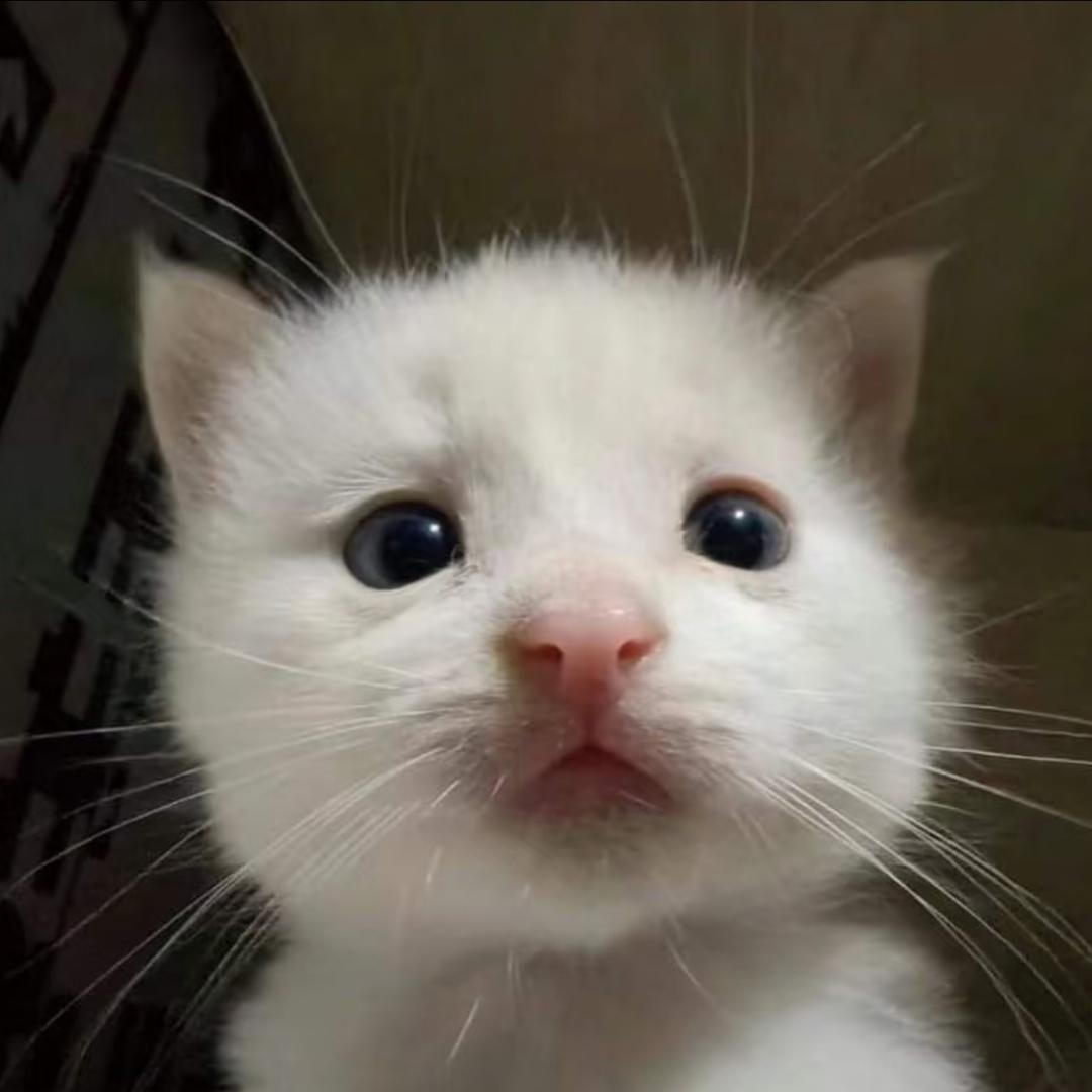Jimmy_
