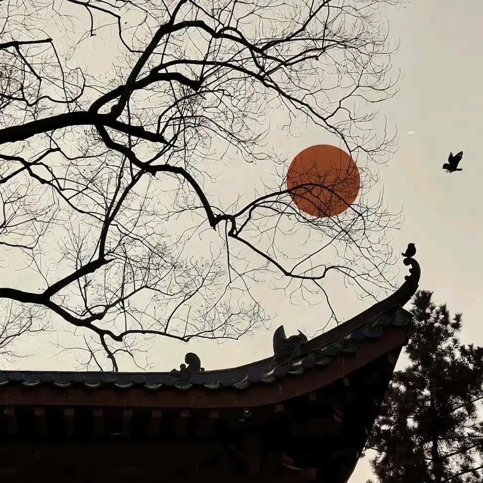 绮梦香纱