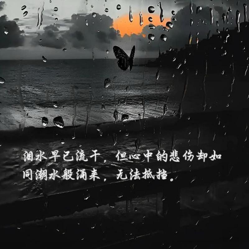 八月老孙的E300