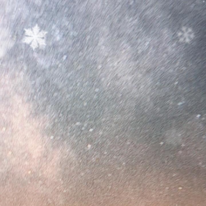 辰惠百货