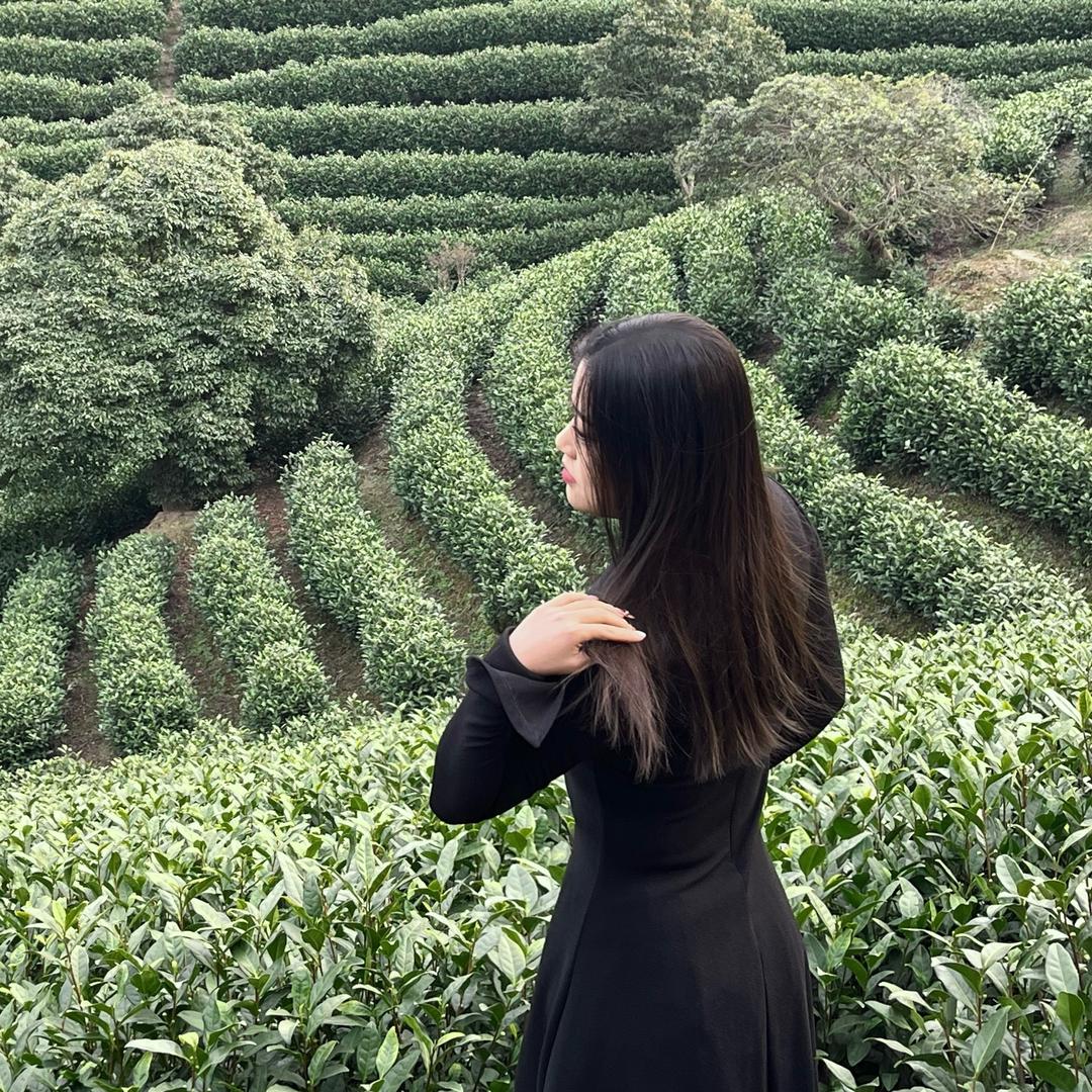 茶小莓