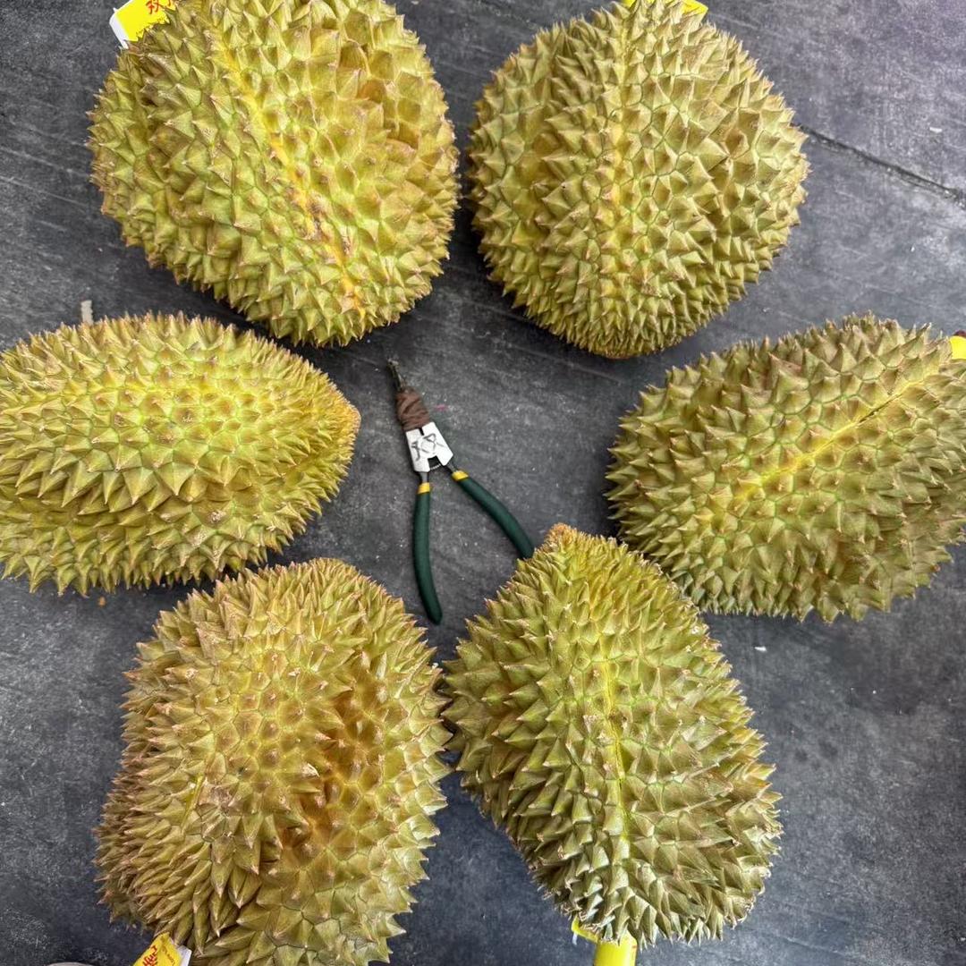 新农榴莲小时达