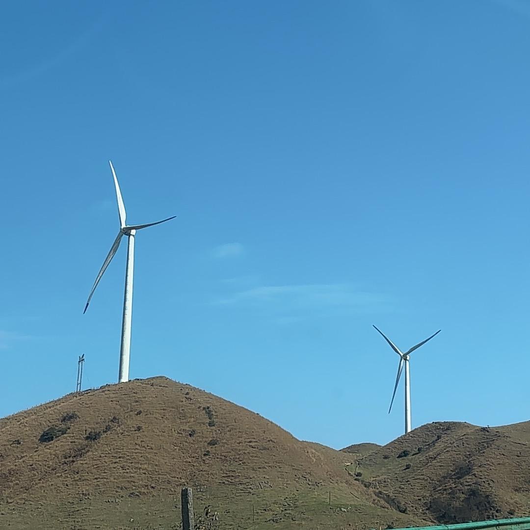小刘小刘～吖