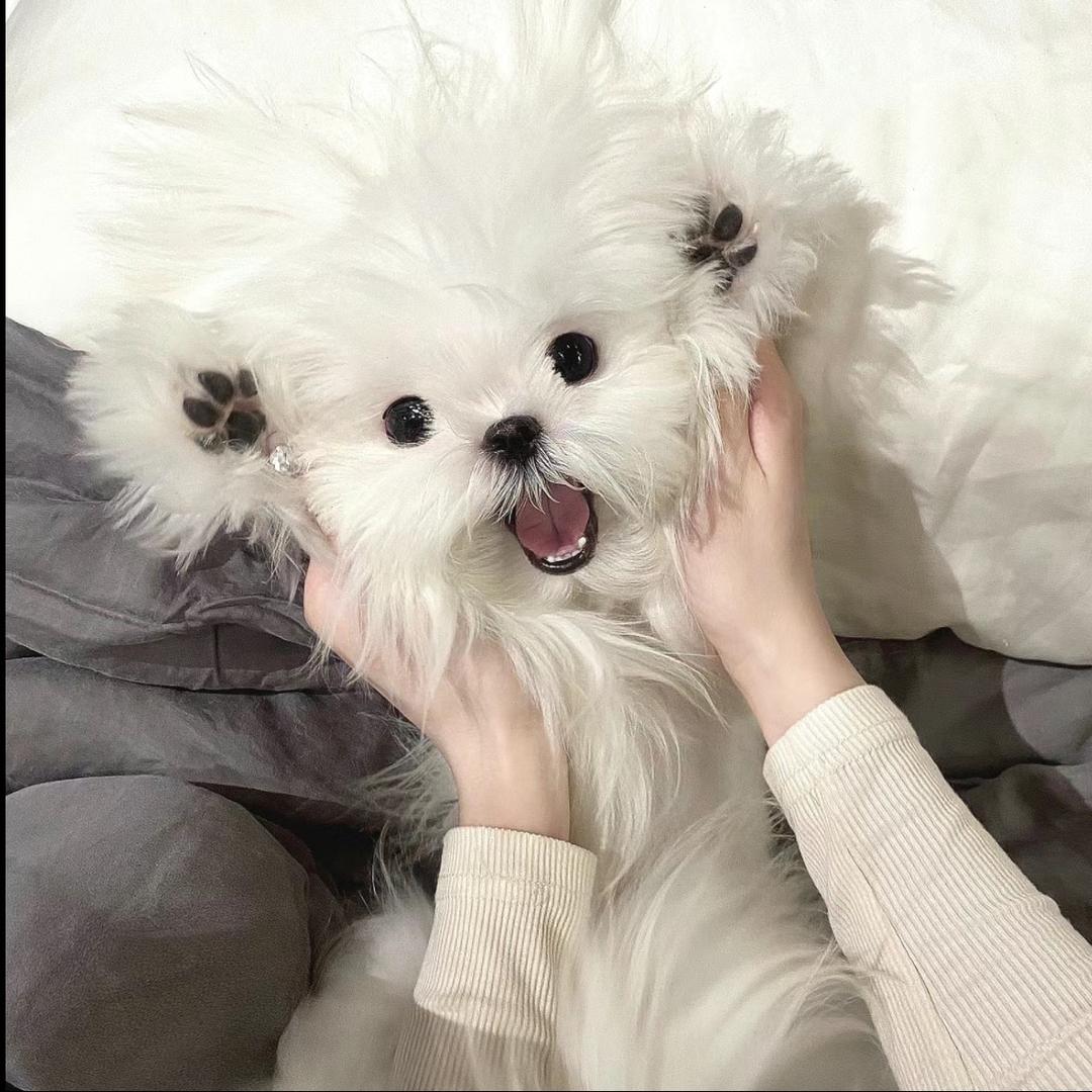 睡个好觉