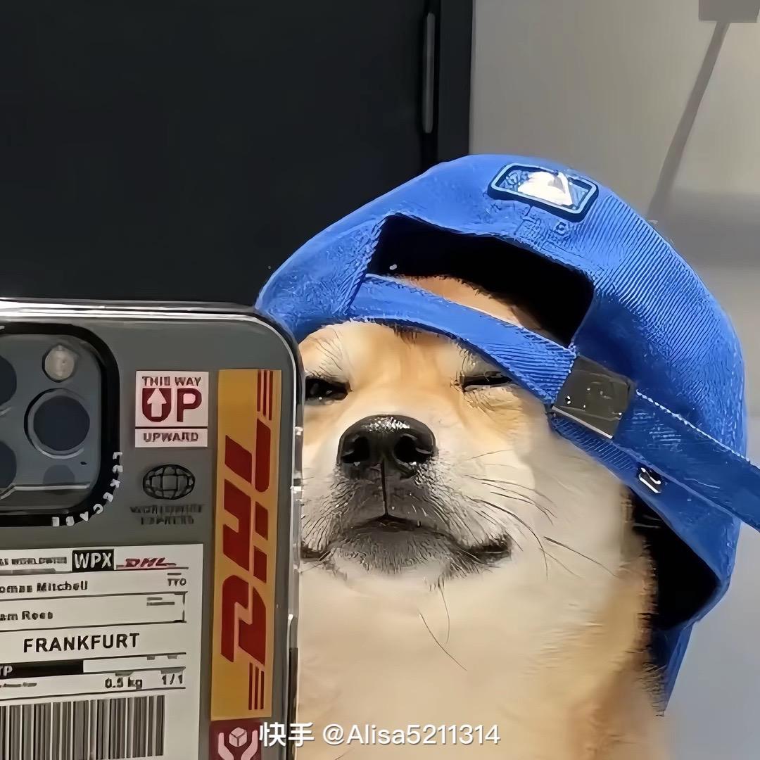韩磊