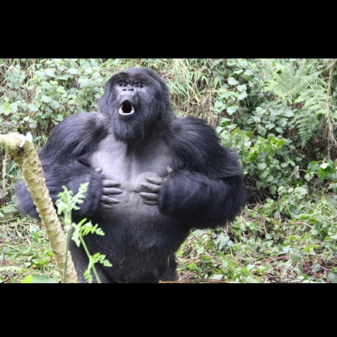 生气的时候很安静